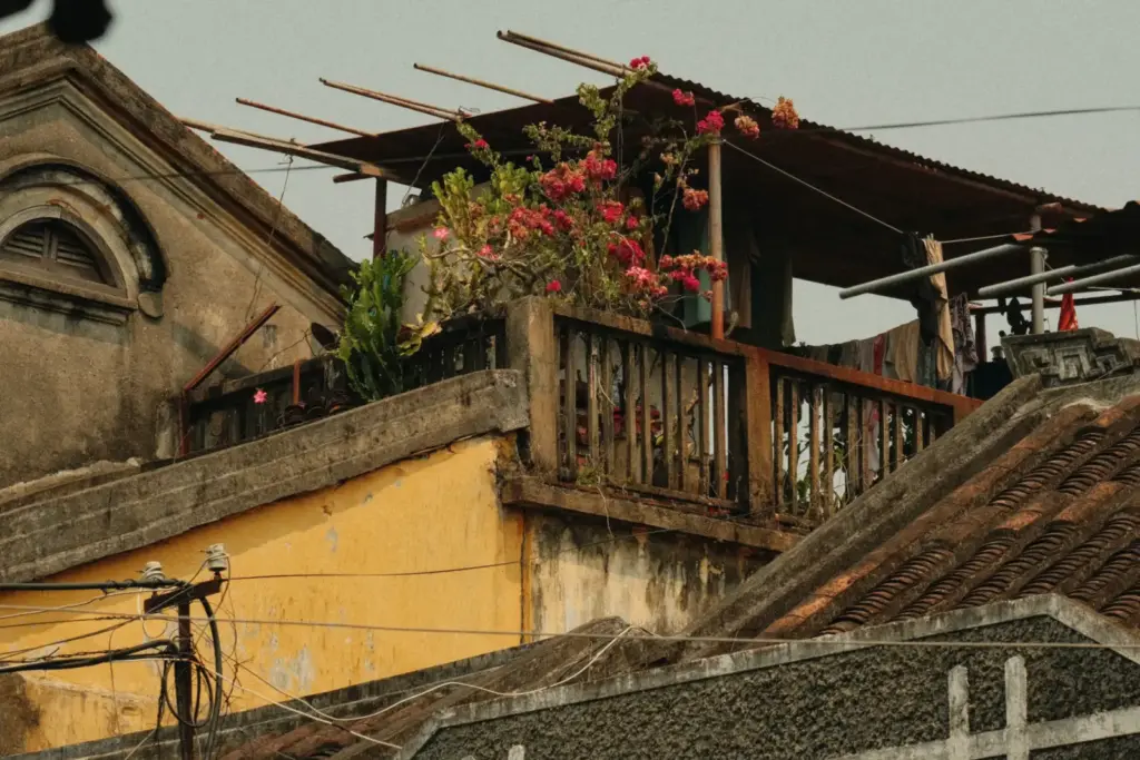 Sân thượng có giàn hoa giấy